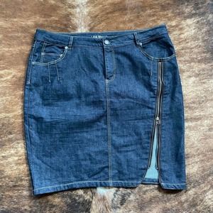 Dark denim lane bryant